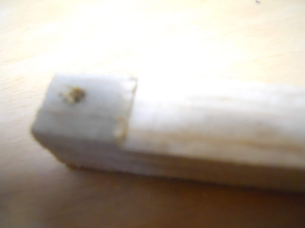 DSCN4722